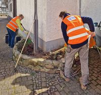 240309 Pflanzaktion AK Begr&uuml;nung 3 (c) Heiko Schmitt